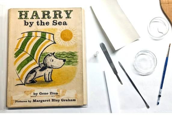 Draft copy of Harry by the Sea book next to conservation tools