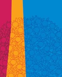 Repeating pattern of pomegranates on a pink, marigold and blue background.